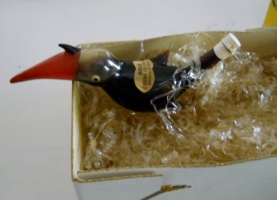 Toucan