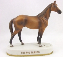 Thoroughbred