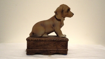 Dashshund