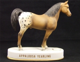 Appaloosa Yearling